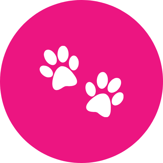 Animaux acceptés